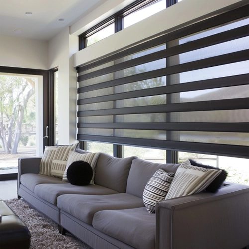 Modern dual sheer zebra shades